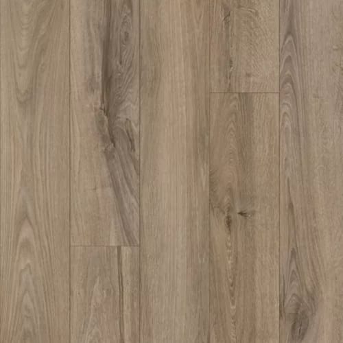 Refined Forest in Fawn