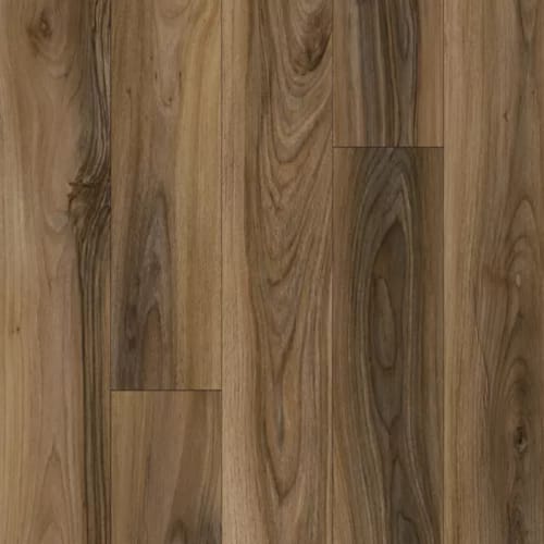 Refined Forest in Sienna