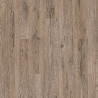 Artisan Reserve in Brynwood