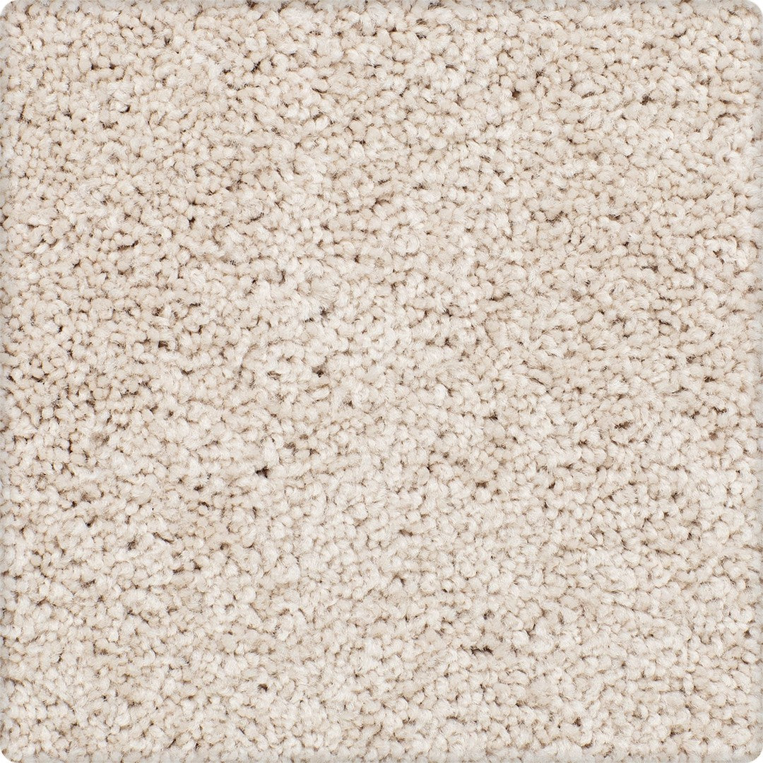 Inherent Style in Toasted Almond
