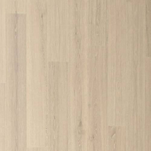 Andilet in Morning Fog Oak