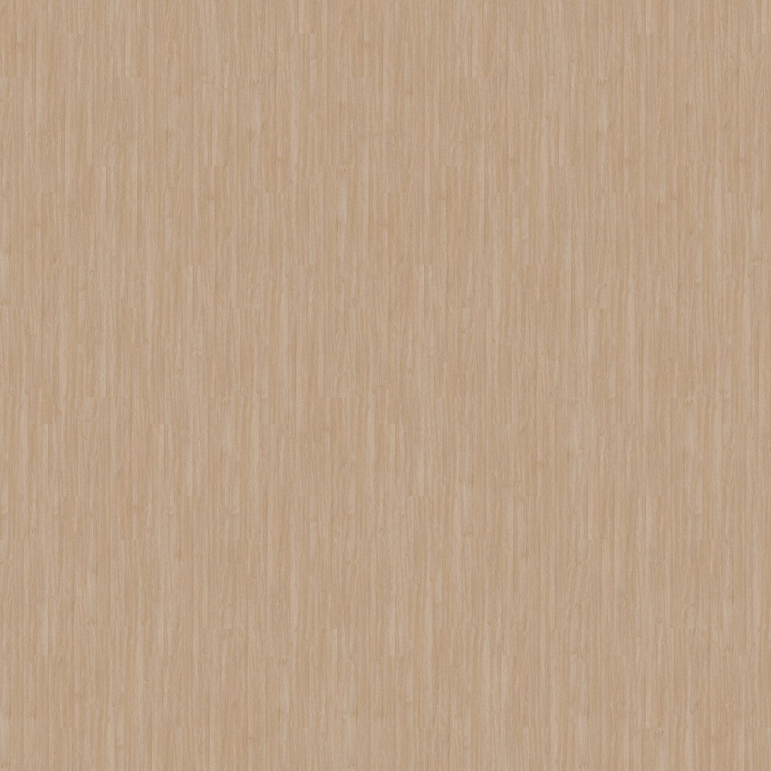 Pro Solutions III in Latte