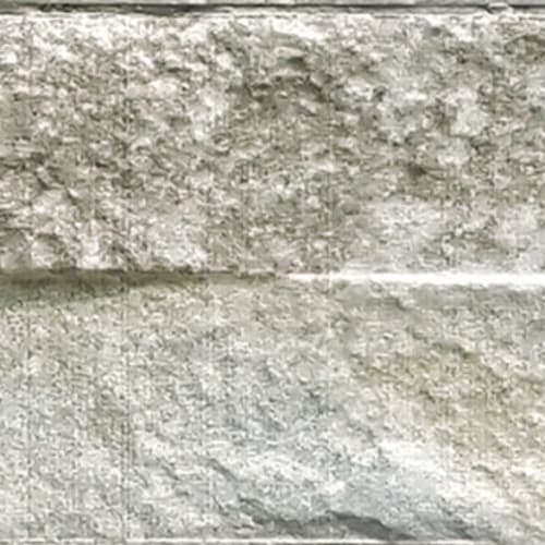 Rock in Grey Tile