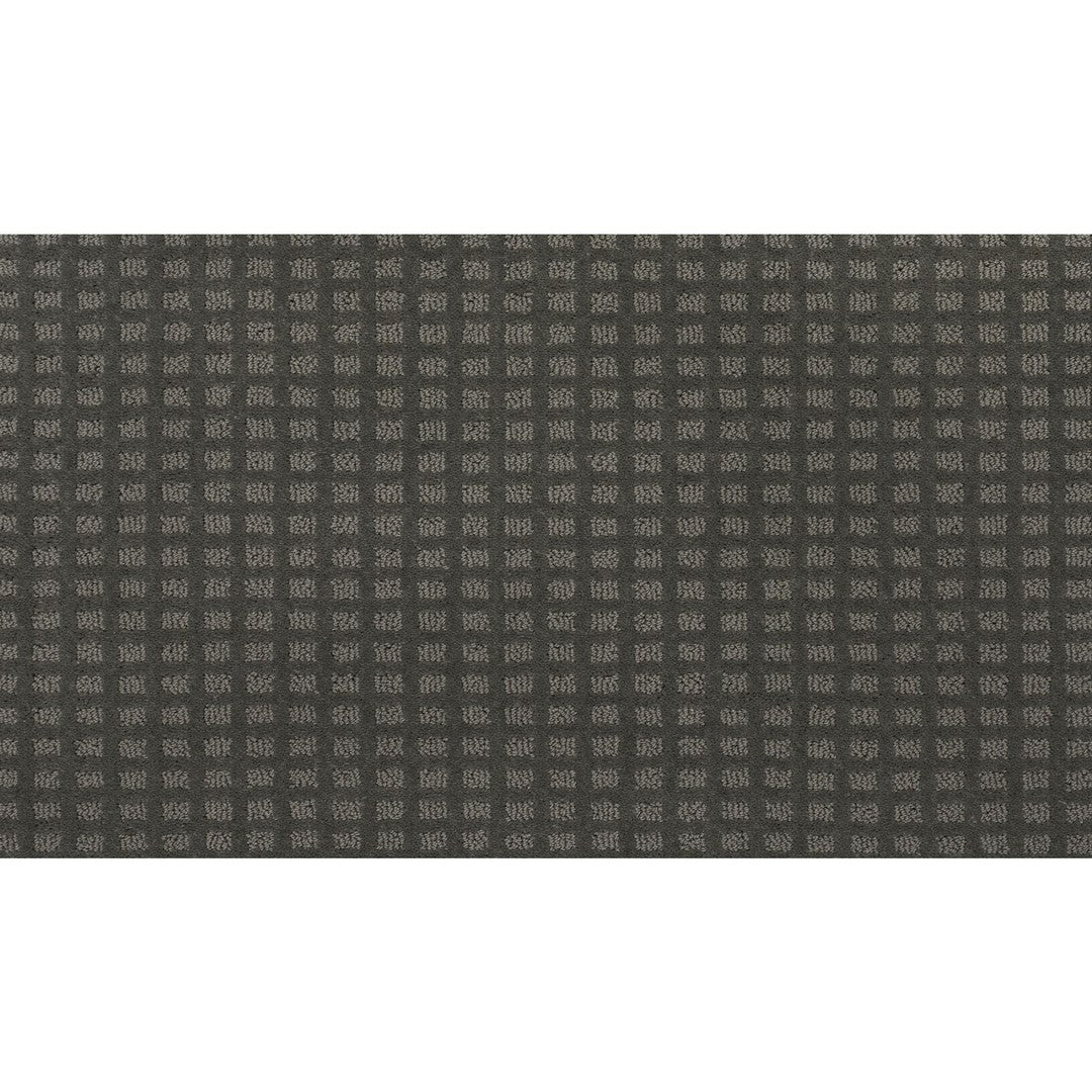 Popular Appearance in Shadow