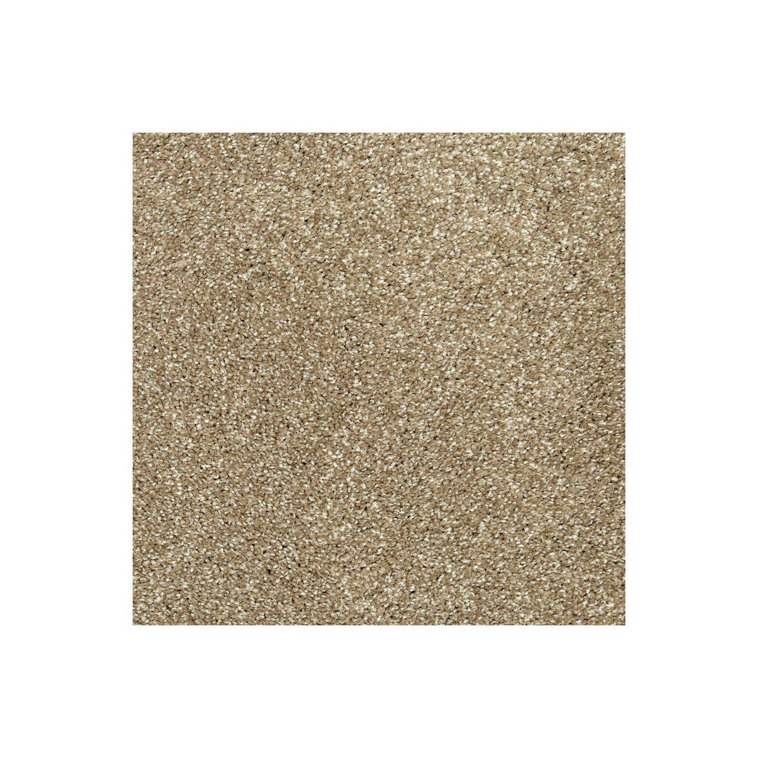 Native Allure I in Urban Taupe