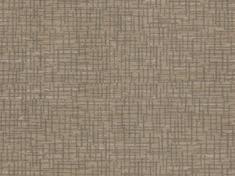 Imagine -  Graydon in Flax