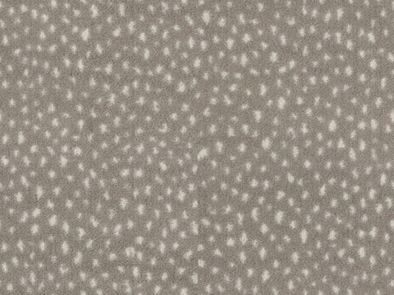 Imagine -  Exotic Escape - Dapple in Dapple Mineral