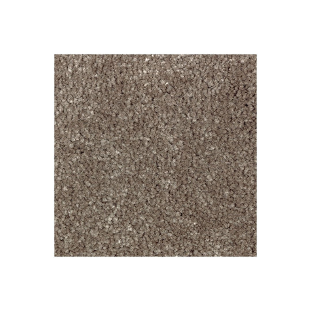Creative Factor II in Coco Mocha