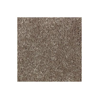 Creative Factor II in Coco Mocha