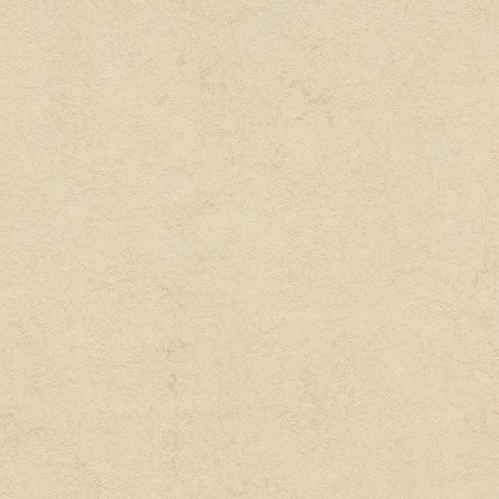Marmoleum - Cinch Loc Seal in Barbados