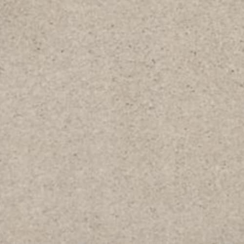 Luxurious Vision in South Beach Carpet