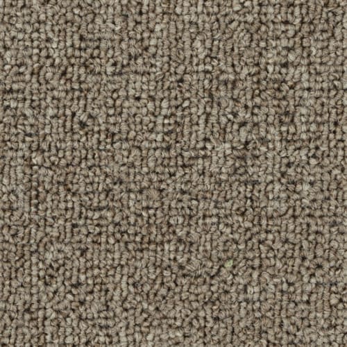 Mainstreet InnoFibe - Invasion IV Base in Light Coffee Carpet