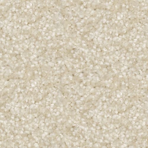 Nyluxe PetGuard & Tri Twist - Epitome in Linen Carpet