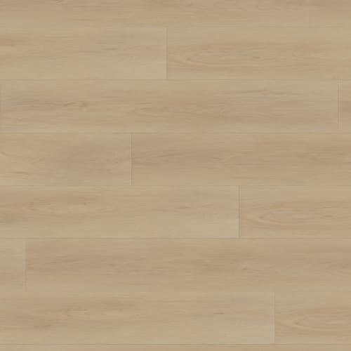 Litora in Loch Laminate