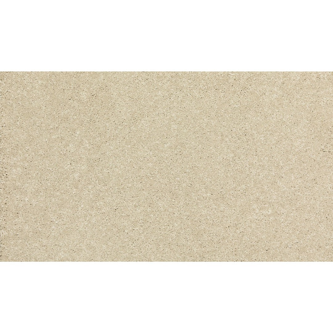 New Statement I in Sugar Cookie