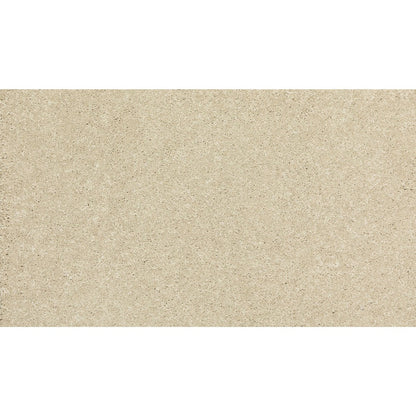 New Statement I in Sugar Cookie