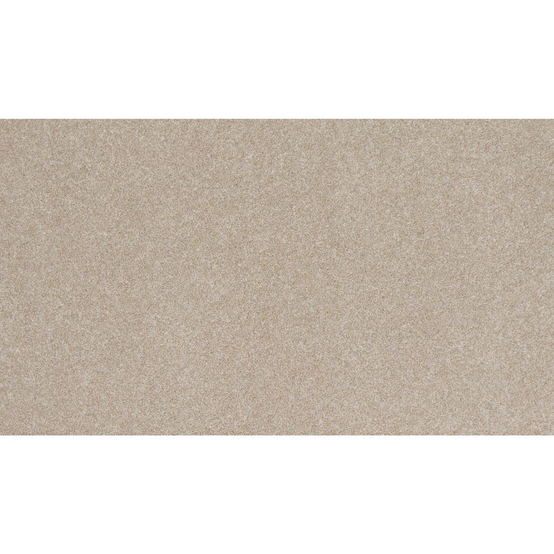 Timeless Saga I in Cashmere