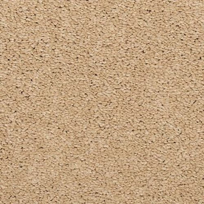Maison Chic in Heritage Carpet