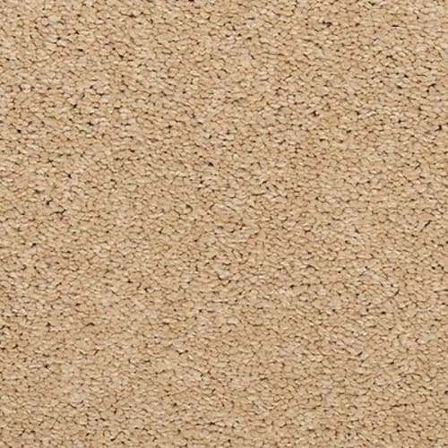 Maison Chic in Heritage Carpet