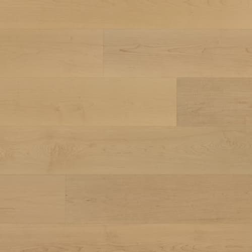 Emblem-Distinction 1/2''
