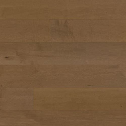 Emblem-Distinction 1/2''