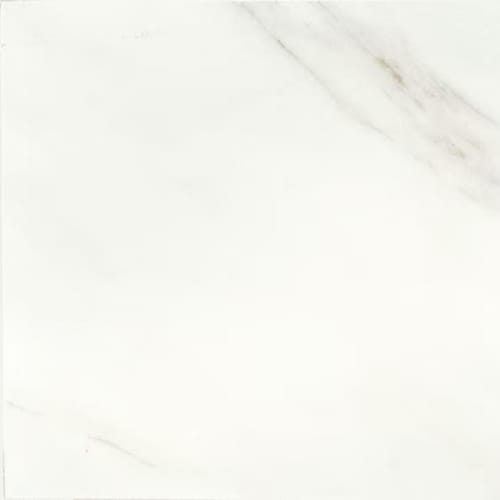 Mirasol in Bianco Carrara-12x24x.3125 Tile