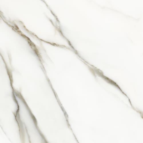 Calacatta in Borghini Tile