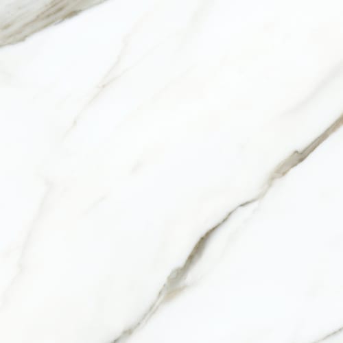 Calacatta in Borghini Tile