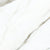 Calacatta in Borghini Tile