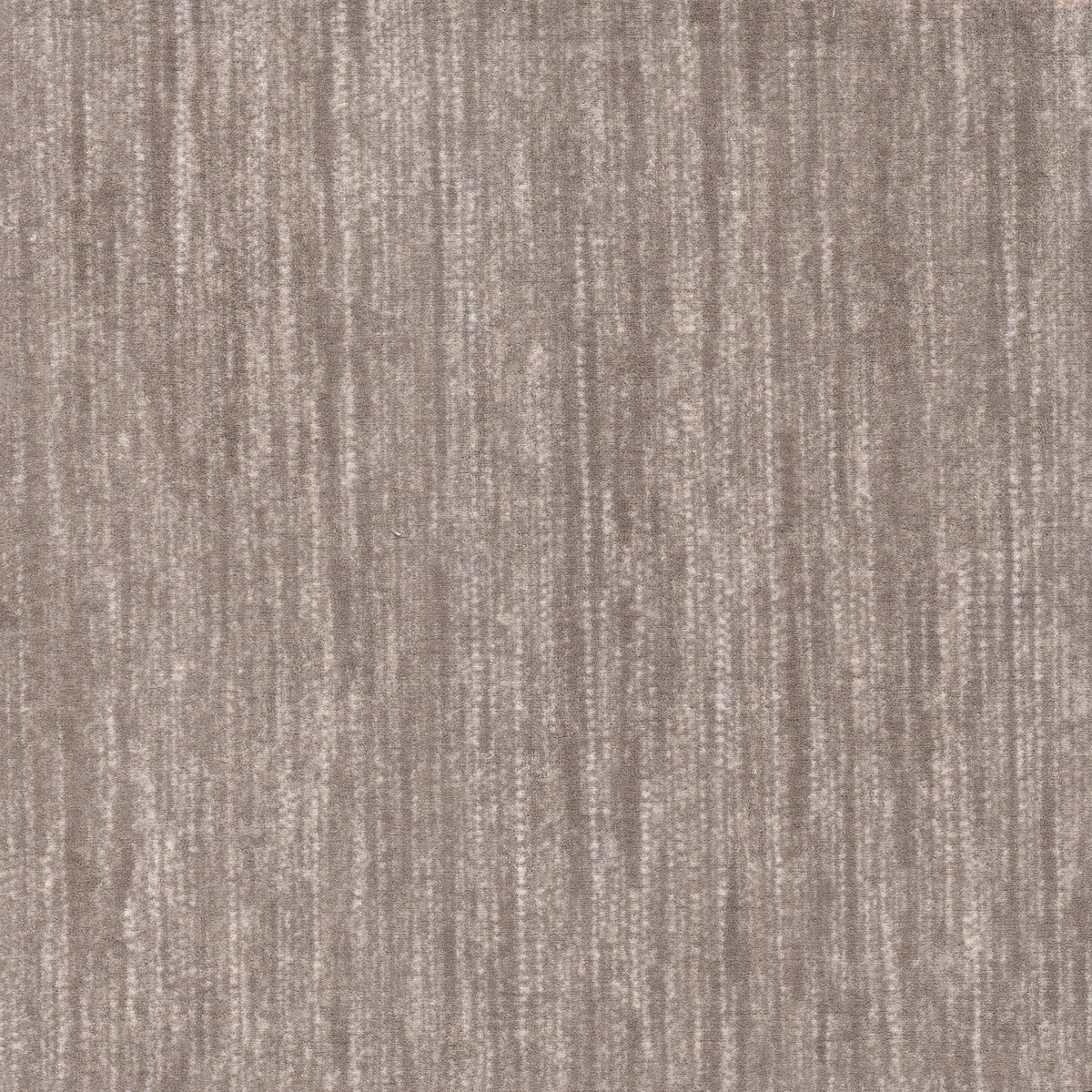 Imagine Figurative - Saltmeadow in Seagull