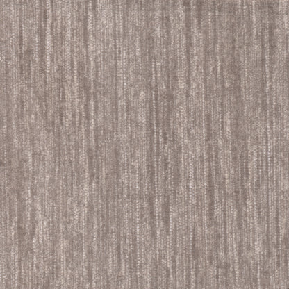 Imagine Figurative - Saltmeadow in Seagull
