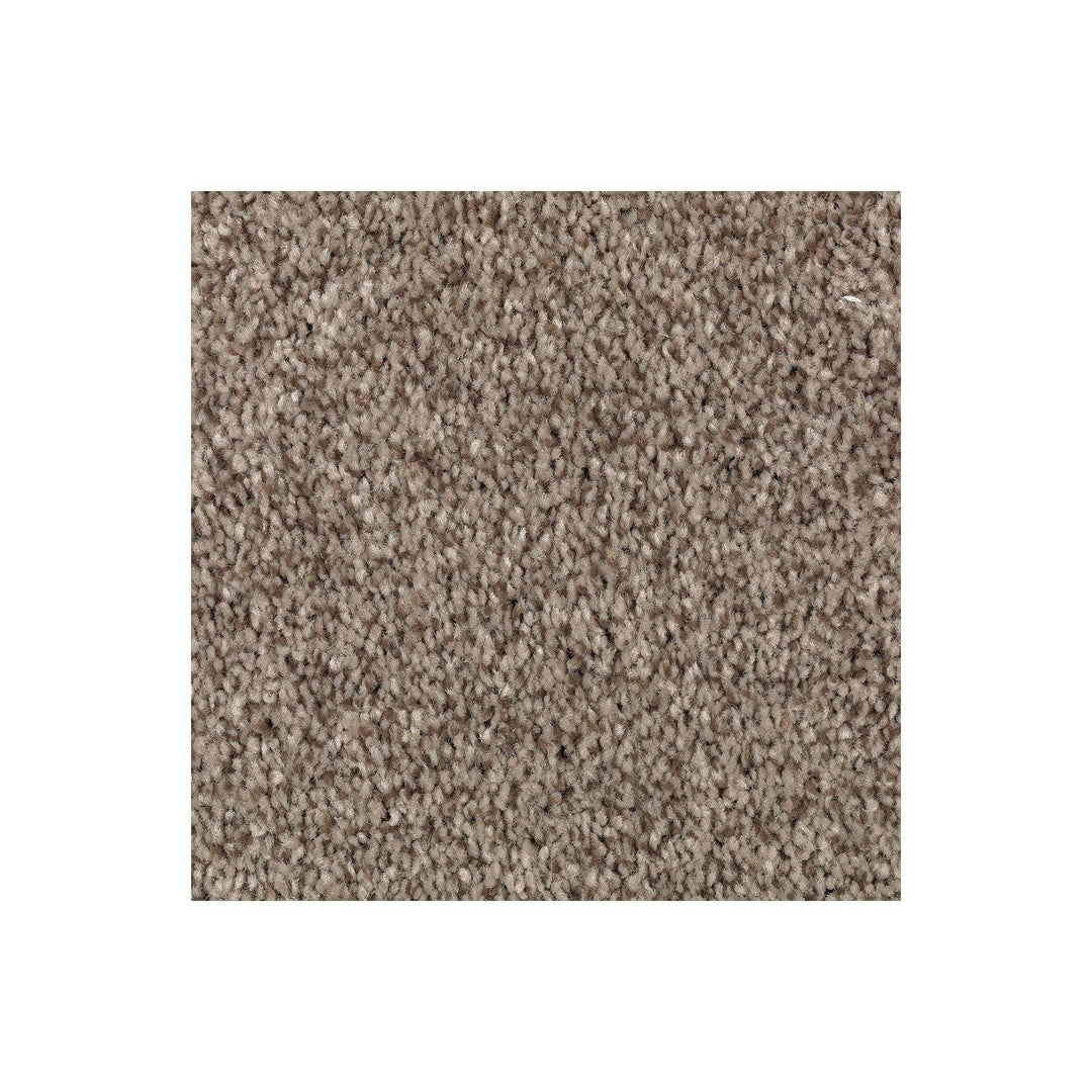 Natural Accents II in Truffle