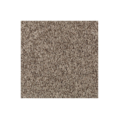 Natural Accents II in Truffle