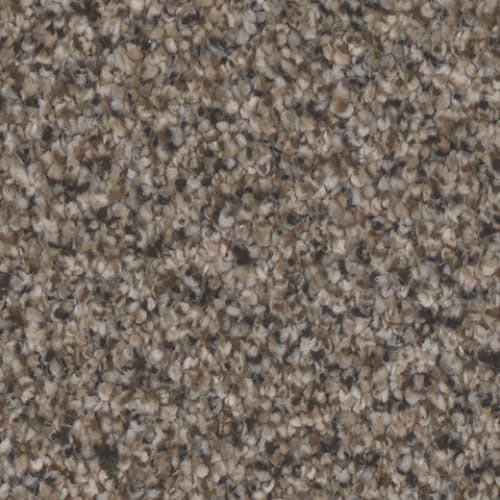Montecito in Stately Carpet