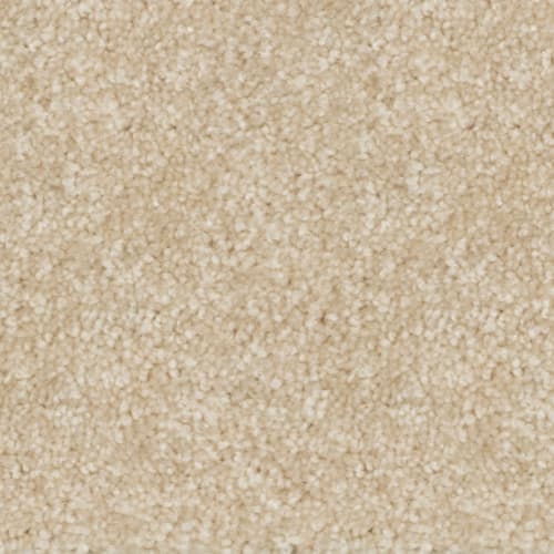 Nyluxe SDN - Webster SDN in Morning Cloud Carpet
