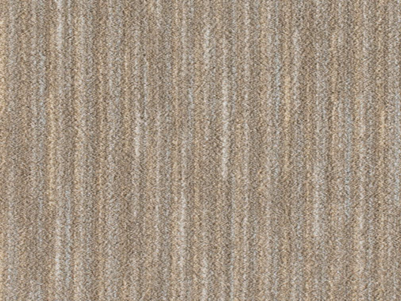 Imagine - Basis in Chamois