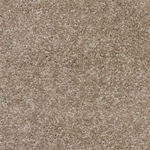 Tryesse - Minotaur in Mystic Beige Carpet