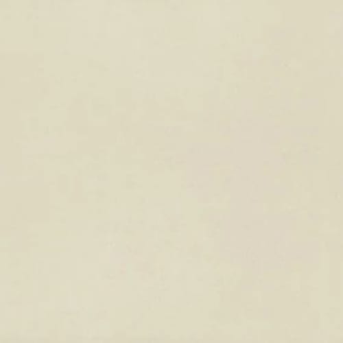 Neoconcrete in White-24x24-Light Polished Tile