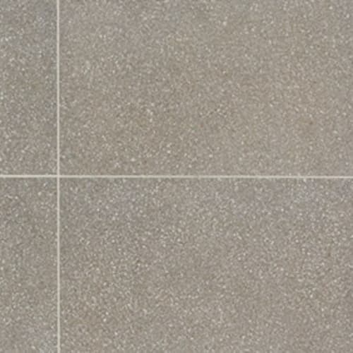 Neospeck in Medium Gray-12x24-Light Polished Tile
