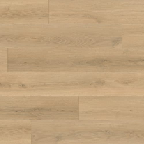 Nxwood Pro