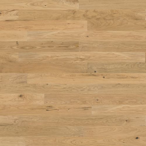 Designer Collection in Natural 6 1/4" Hardwood