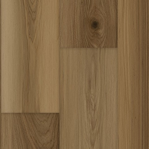 ProGen Plus in Tailored Hickory Tawny