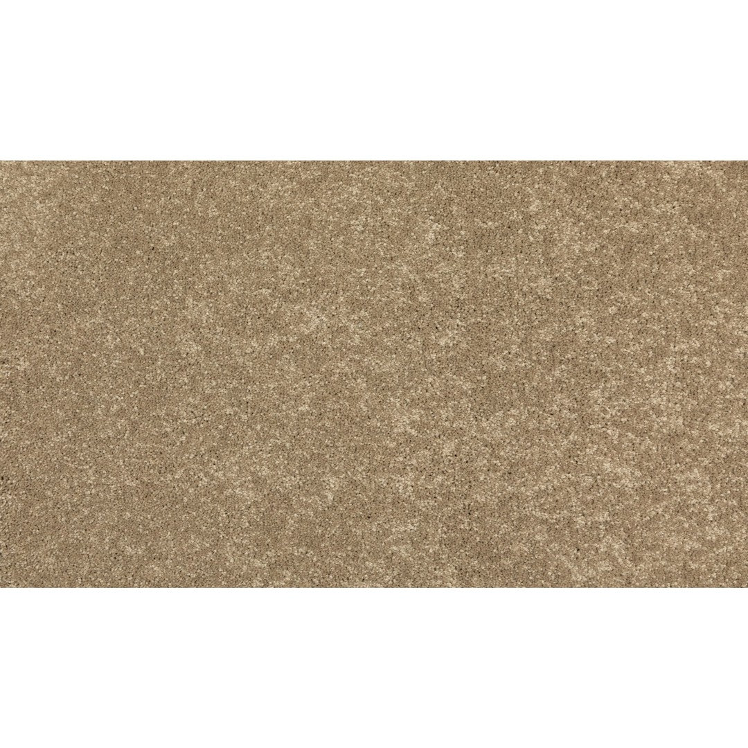 New Statement III in Turnstone