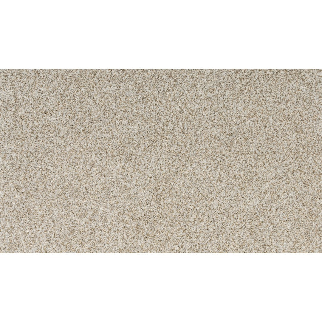 Genesis in Canvas
