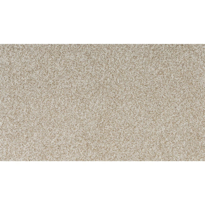 Genesis in Canvas