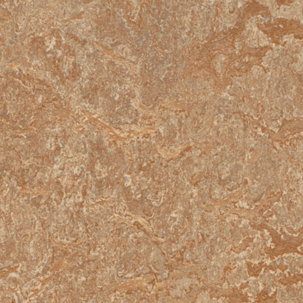 Marmoleum - Cinch Loc Seal in Shitake