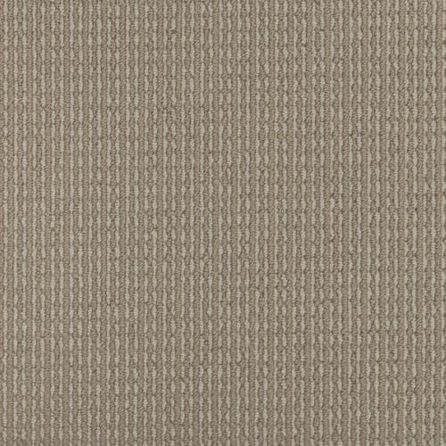 Established Appeal in Wilmington Tan Carpet