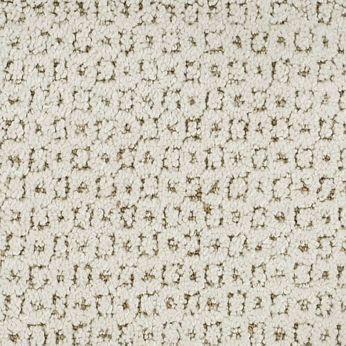 Effervescence 91025