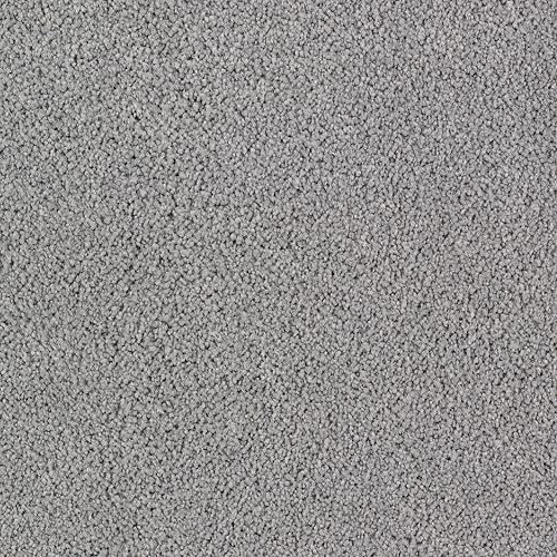 Luxurious Beauty in Carved Stone Carpet
