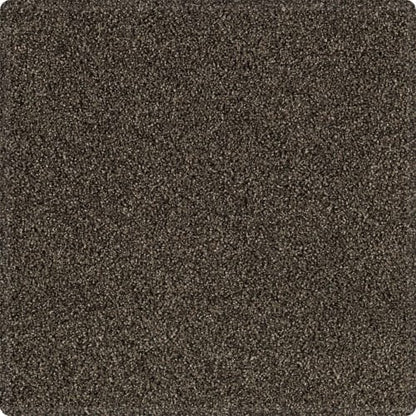 Tranquil Shades in Wrought Iron Carpet